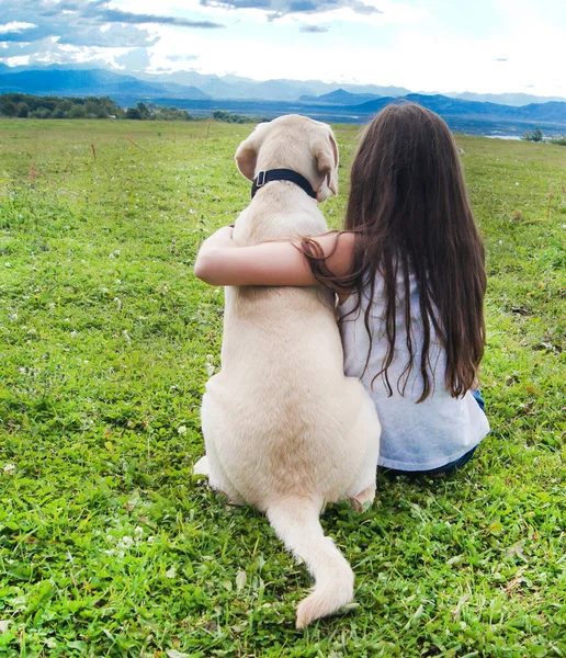 Vrienden Zomer Een Meisje Met Een Hond Een Groene Weide — Stockfoto