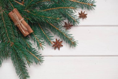 Beyaz arka planda ladin dalı. Noel arkaplanı.