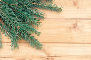 Beyaz arka planda ladin dalı. Noel arkaplanı.