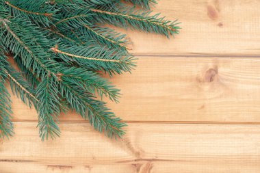 Beyaz arka planda ladin dalı. Noel arkaplanı.