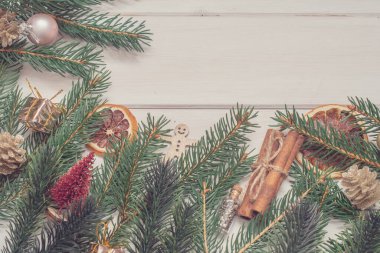 Beyaz arka planda ladin dalı. Noel arkaplanı.