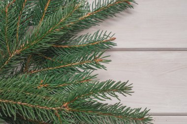 Beyaz arka planda ladin dalı. Noel arkaplanı.