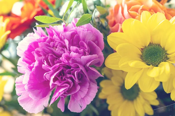 sarı bir çiçeğin makro resmi