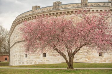 Bahar Ingolstadt, İlkbaharda Alman şehrinde bir park, Klenzepark