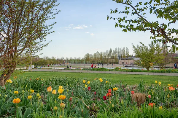 beautiful view on a sunny day in a park in germany, ingolstadt