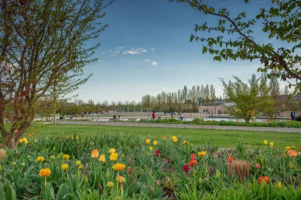 Belle Vue Sur Une Journée Ensoleillée Dans Parc Allemagne Ingolstadt — Photo