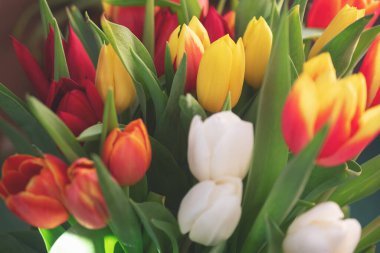 Bir buket lale yakın plan.