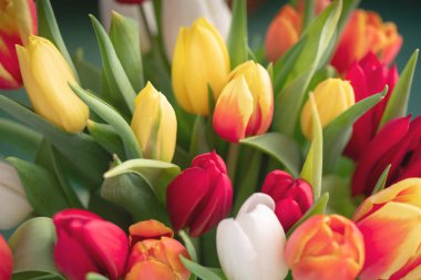 Bir buket lale yakın plan.