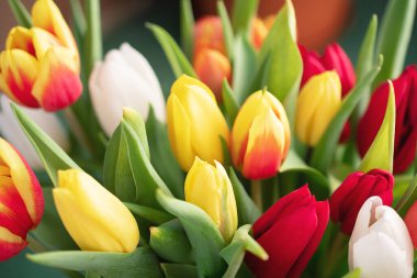 Bir buket lale yakın plan.