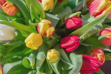 Bir buket lale yakın plan.