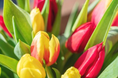 Bir buket lale yakın plan.