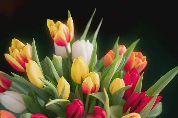 Nahaufnahme Eines Straußes Tulpen — Stockfoto