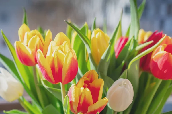 Bir buket lale yakın plan.