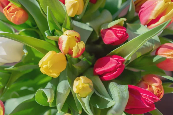 Bir buket lale yakın plan.