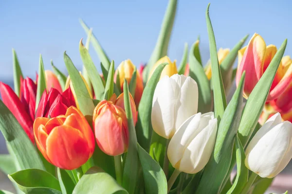 Bir buket lale yakın plan.