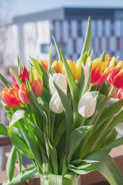 Bir buket lale yakın plan.