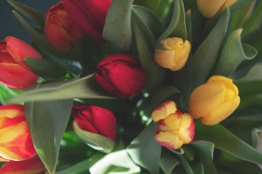 Bir buket lale yakın plan.