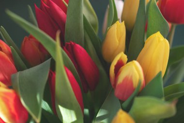 Bir buket lale yakın plan.