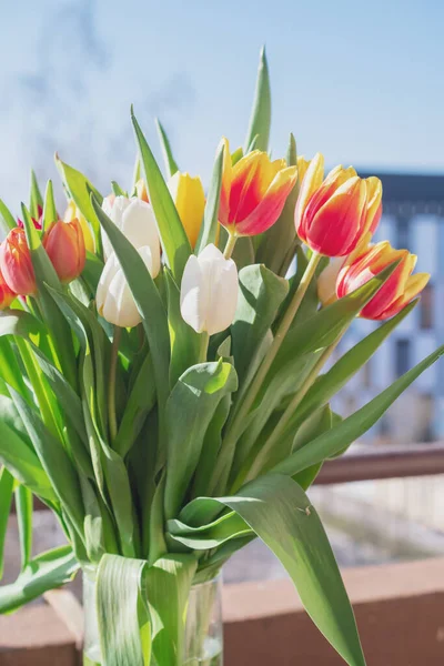 Bir buket lale yakın plan.