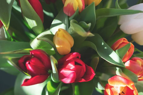 Bir buket lale yakın plan.