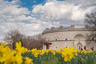 Parkın yaz manzarası, Ingolstadt