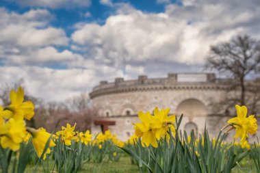 Parkın yaz manzarası, Ingolstadt