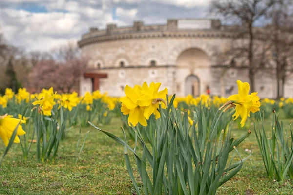Parkın yaz manzarası, Ingolstadt