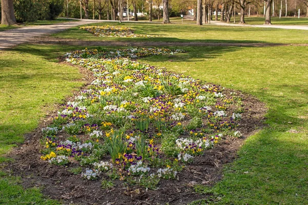 Vue Été Sur Parc Ingolstadt — Photo