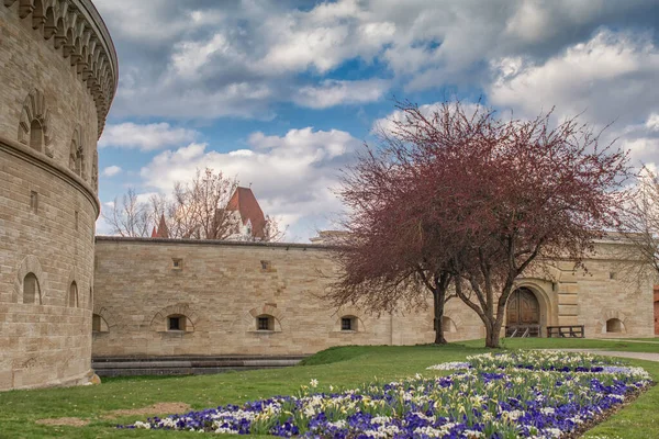 Parkın yaz manzarası, Ingolstadt