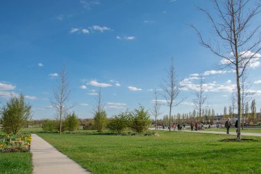 Parkta güzel manzara, bulutlu mavi gökyüzü, doğada yaz güneşli bir gün, Ingolstadt