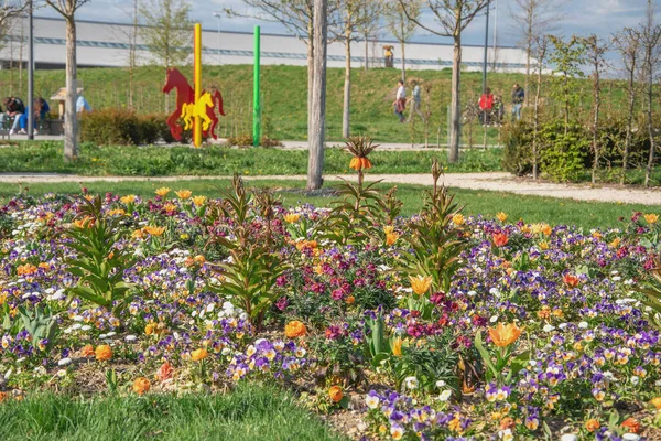 Belle Vue Dans Parc Ciel Bleu Avec Nuages Journée Ensoleillée — Photo