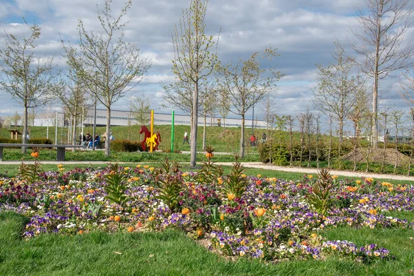 Belle Vue Dans Parc Ciel Bleu Avec Nuages Journée Ensoleillée — Photo