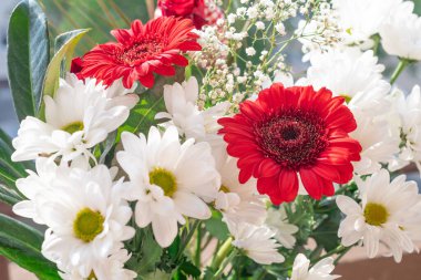 Güzel bir buket beyaz kasımpatı. Yakın plan.