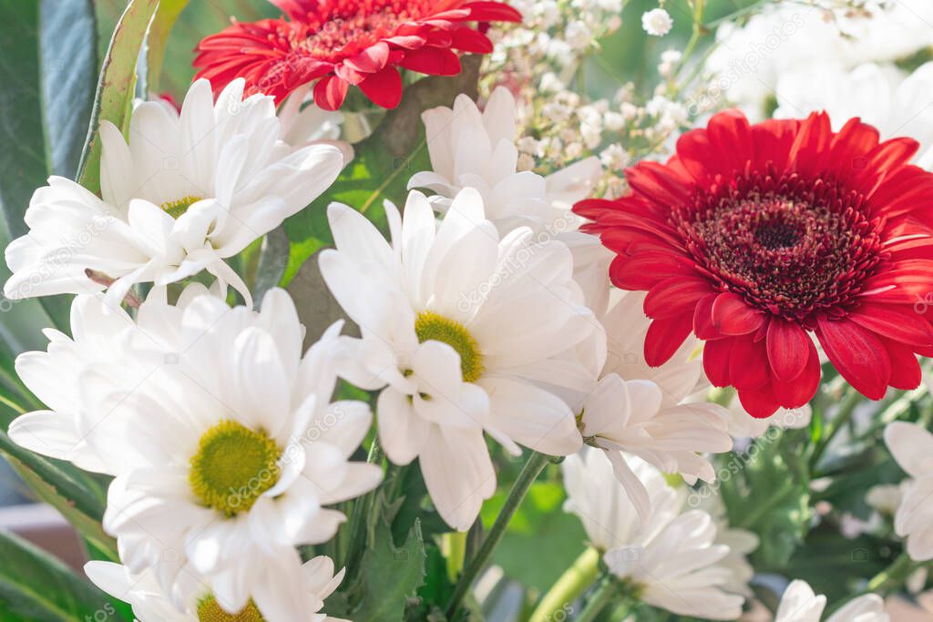 A beautiful bouquet of white chrysanthemums close-up