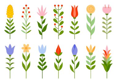 Çiçek ve yaprak böğürtlen rengi bitki düzlüğü yaz seti