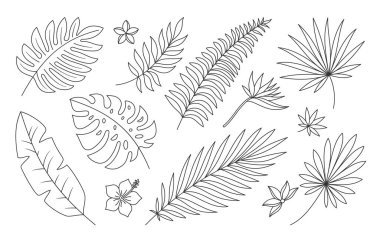 Tropik yaprak çiçeği botanik bitkisi siyah çizgi seti