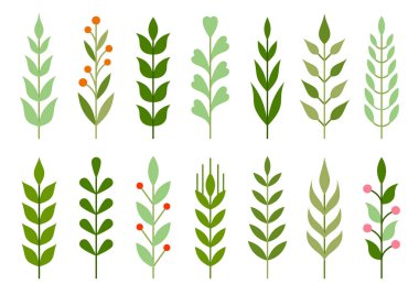 Yaprak ve dal yeşili bitki yaz düzlüğü