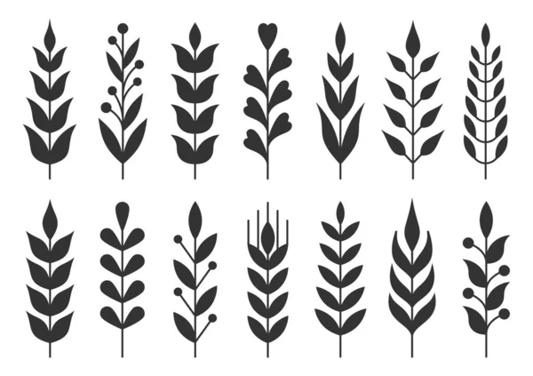 Leaf and branch natural plant black silhouette set — Stock Vector