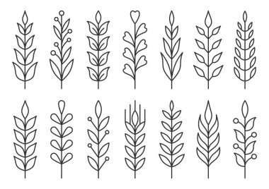 Yaprak ve dal böğürtlen doğal bitki siyah çizgi set