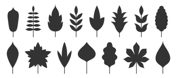 Folha floral planta gráfico conjunto silhueta preta — Vetor de Stock