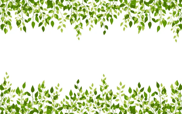 Рамка для відколювання березового весняного листя зеленого плоского стилю — стоковий вектор