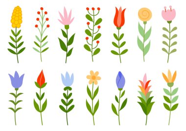 Çiçek yapraklı bitki dalı, böğürtlen yeşili düz set