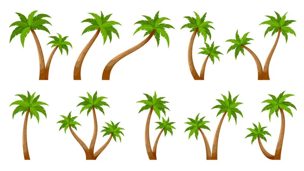 Palme tropische Pflanze Stamm Sommer grün flach Set — Stockvektor