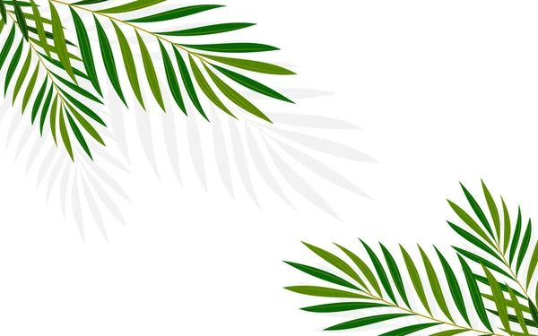 Літня тропічна долоня мінімалістична фонова квартира — стоковий вектор