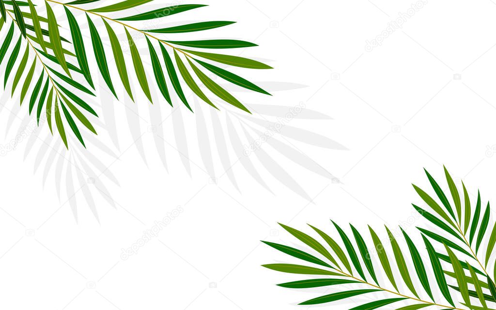 Summer tropical palm minimalist background flat