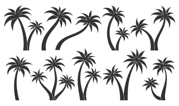 Palme tropische Pflanze Blatt Stempel schwarz glyph set — Stockvektor