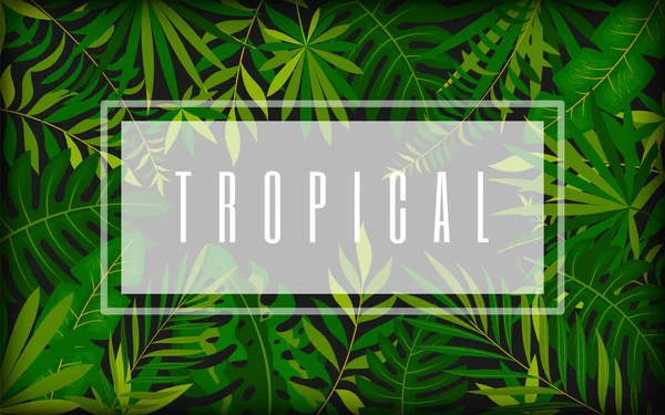 Tropisches Dichtes Laub Trendige Banner Karte Dunkel Flachen Stil Luxus — Stockvektor