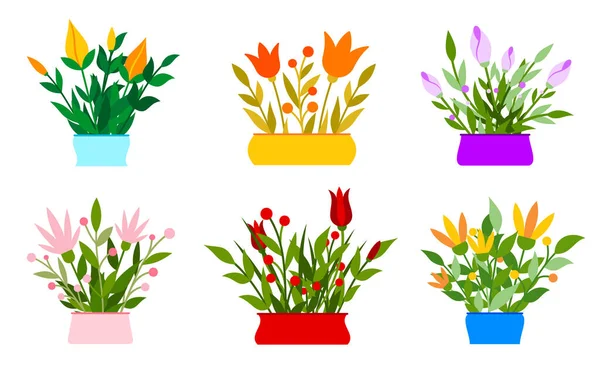 Flower Pot Bouquet Plant Floral Colorful Flat Set Delicate Design — Vector de stock