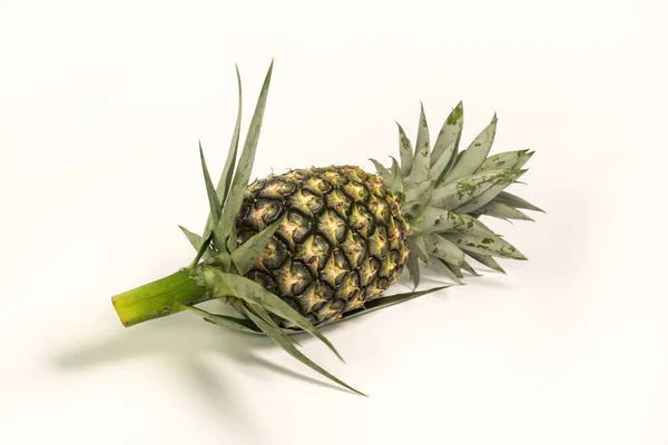 Ananas Ist Eine Frucht Die Einen Süßen Aromatischen Geschmack Hat — Stockfoto