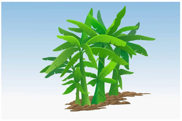 Cartoon Many Banana Trees Vector Illustration — ストックベクタ